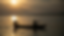 Lake Victoria Fishing Forecast