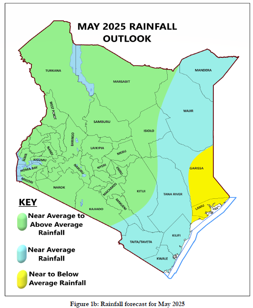 Rain forecast